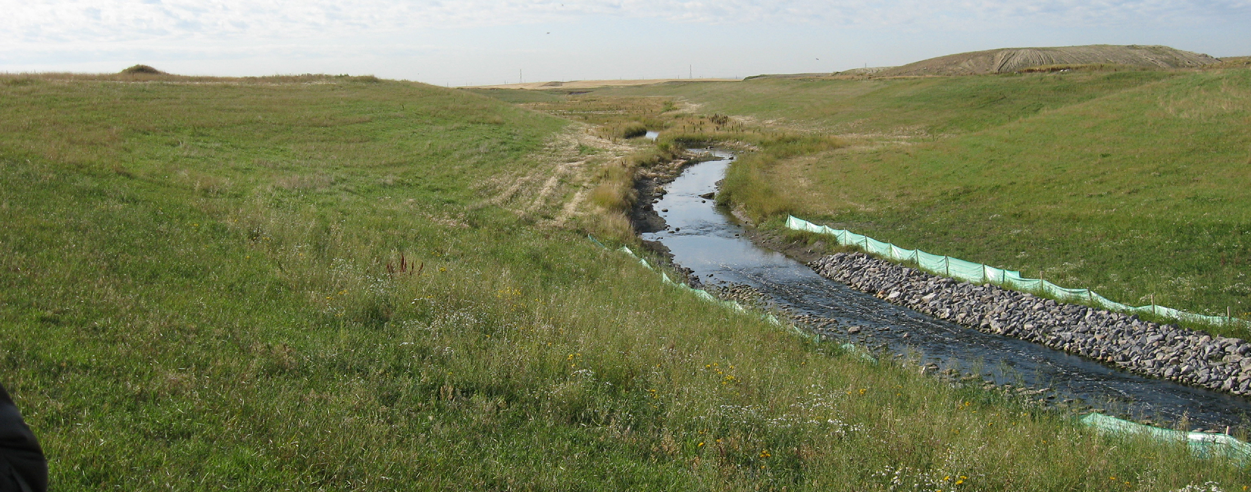 Forest Lawn Creek