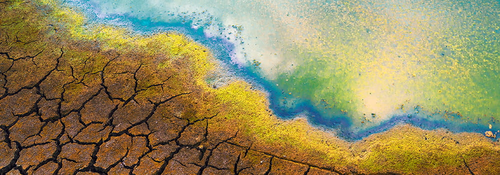 oil spill