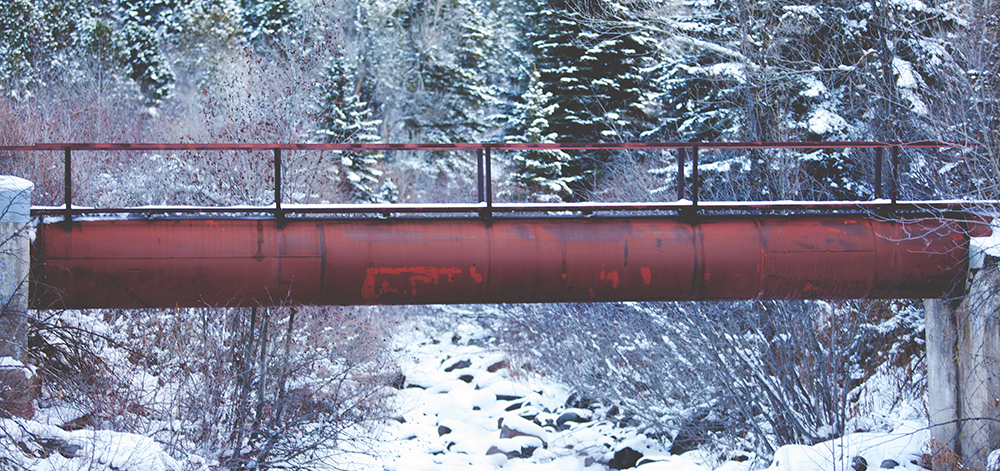 Pipeline in Forest Terrain