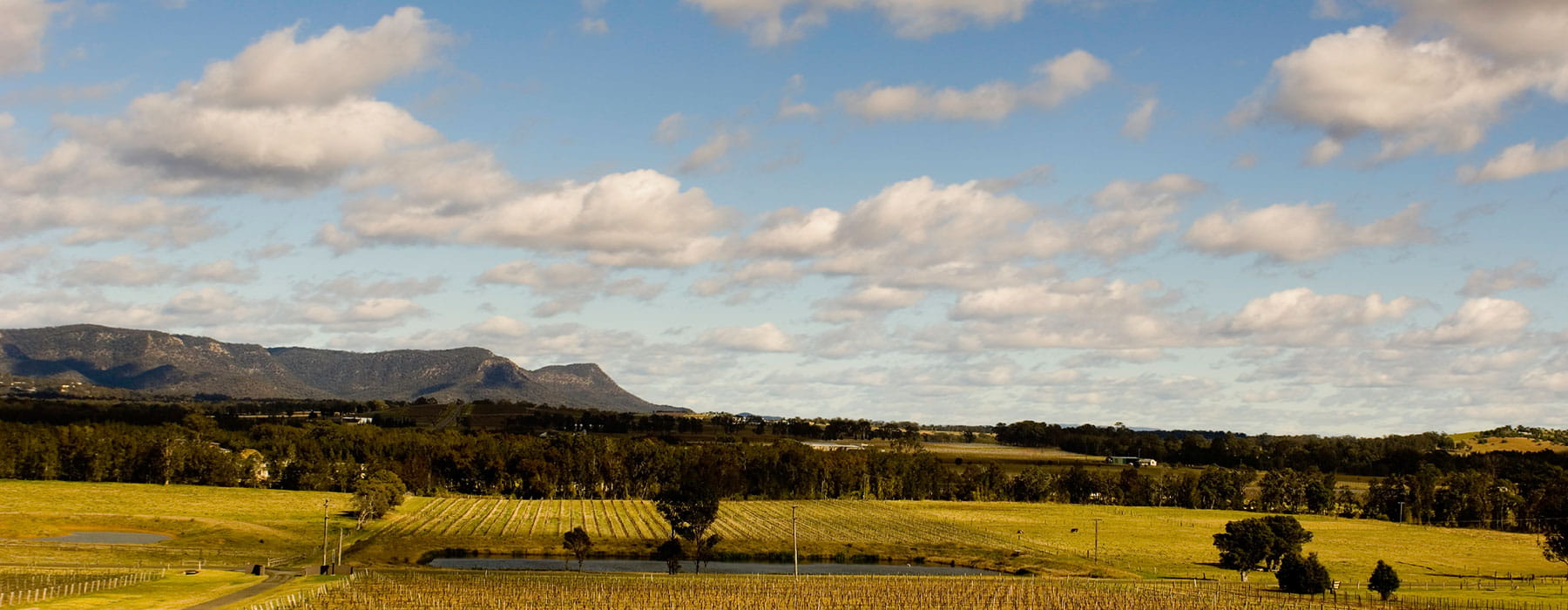 Australian country side