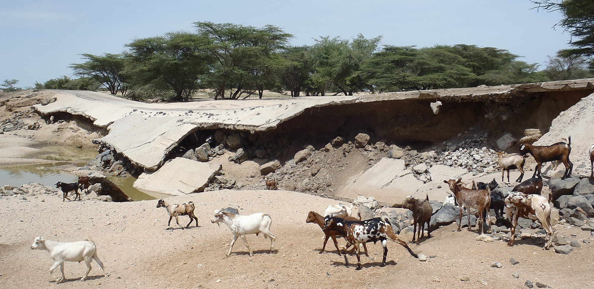 Kenya Tullow Lockichar