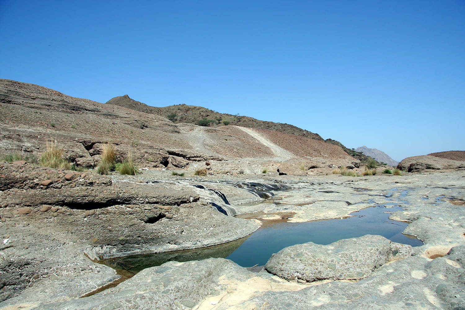 Oman PDO water valuation