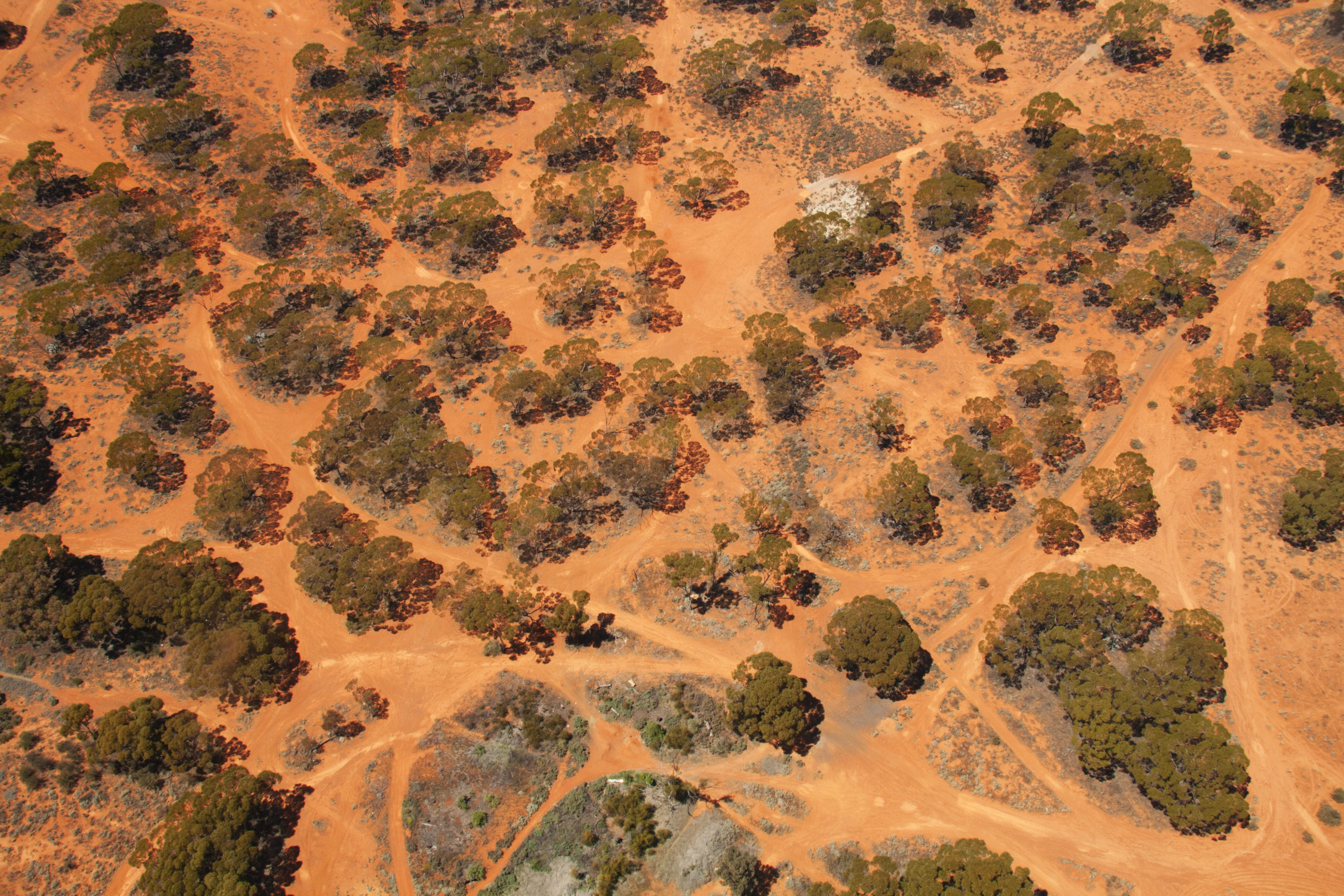 West Canning Basin borefield investigation header