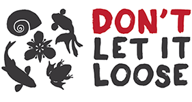 Dont Let It Loose Logo