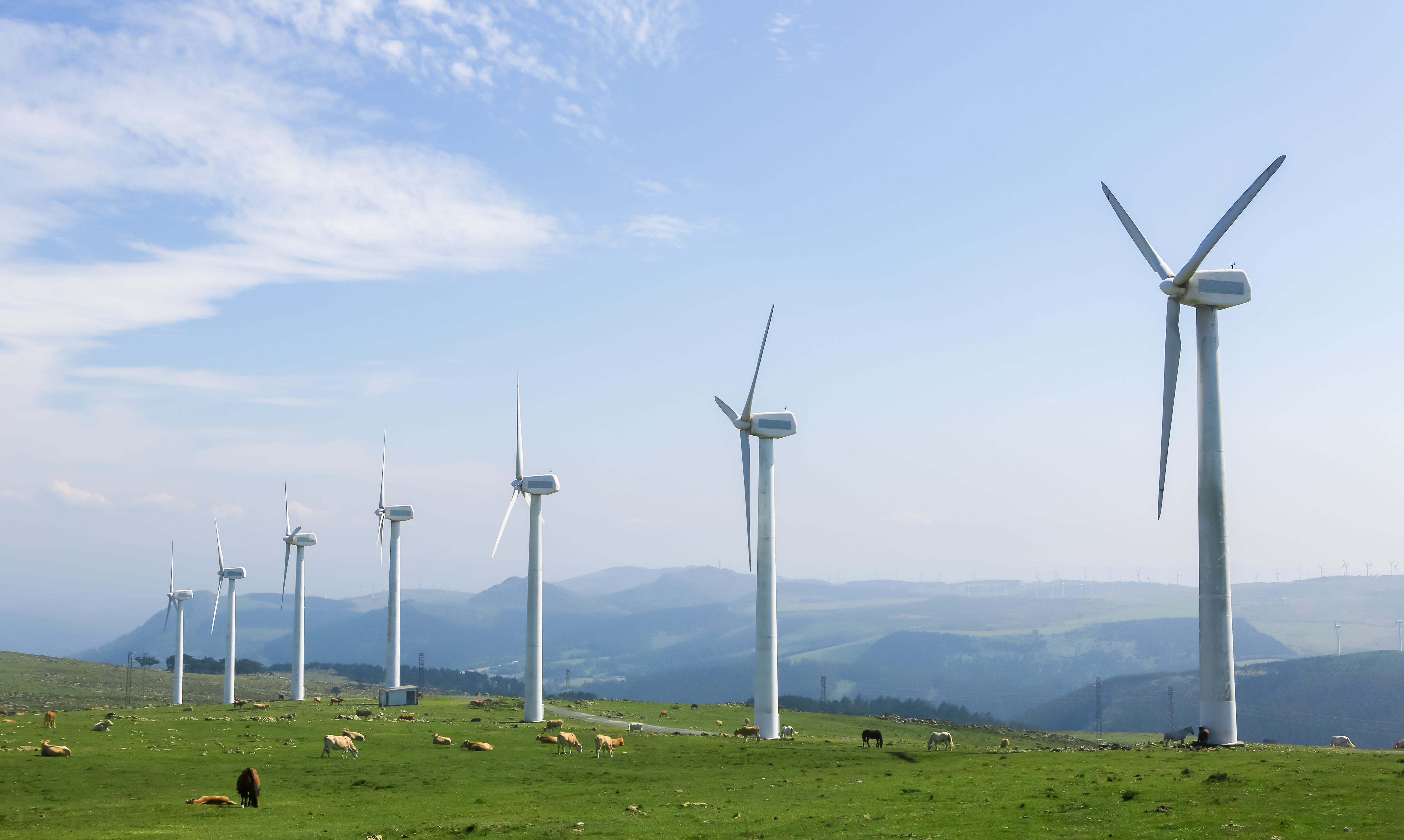 wind turbines on field