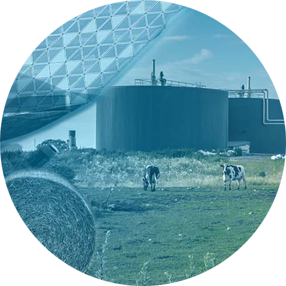 Collage of the Antwerp Port House, cows in paddock at a biofuel plant and a water treatment tank.