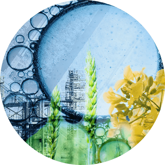 Collage of canola plant, hydrogen molecules, and a refinery.