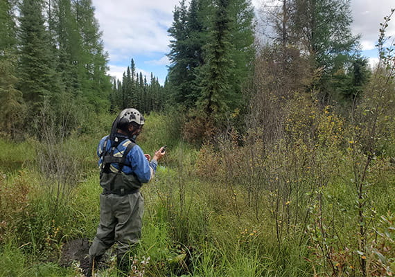 A person in protective netting walking through bushland.