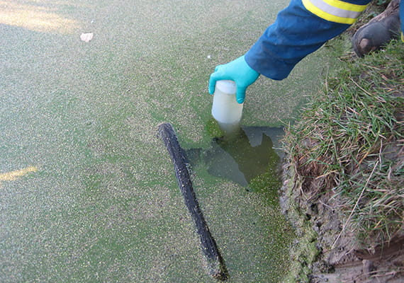 Worker's hand wearing gloves leaning over a body of water taking a sample in a container